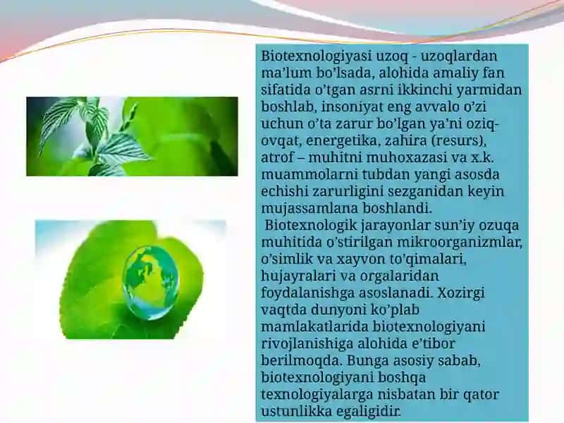 Hujayramuhandisligi texnologik jarayoni 4