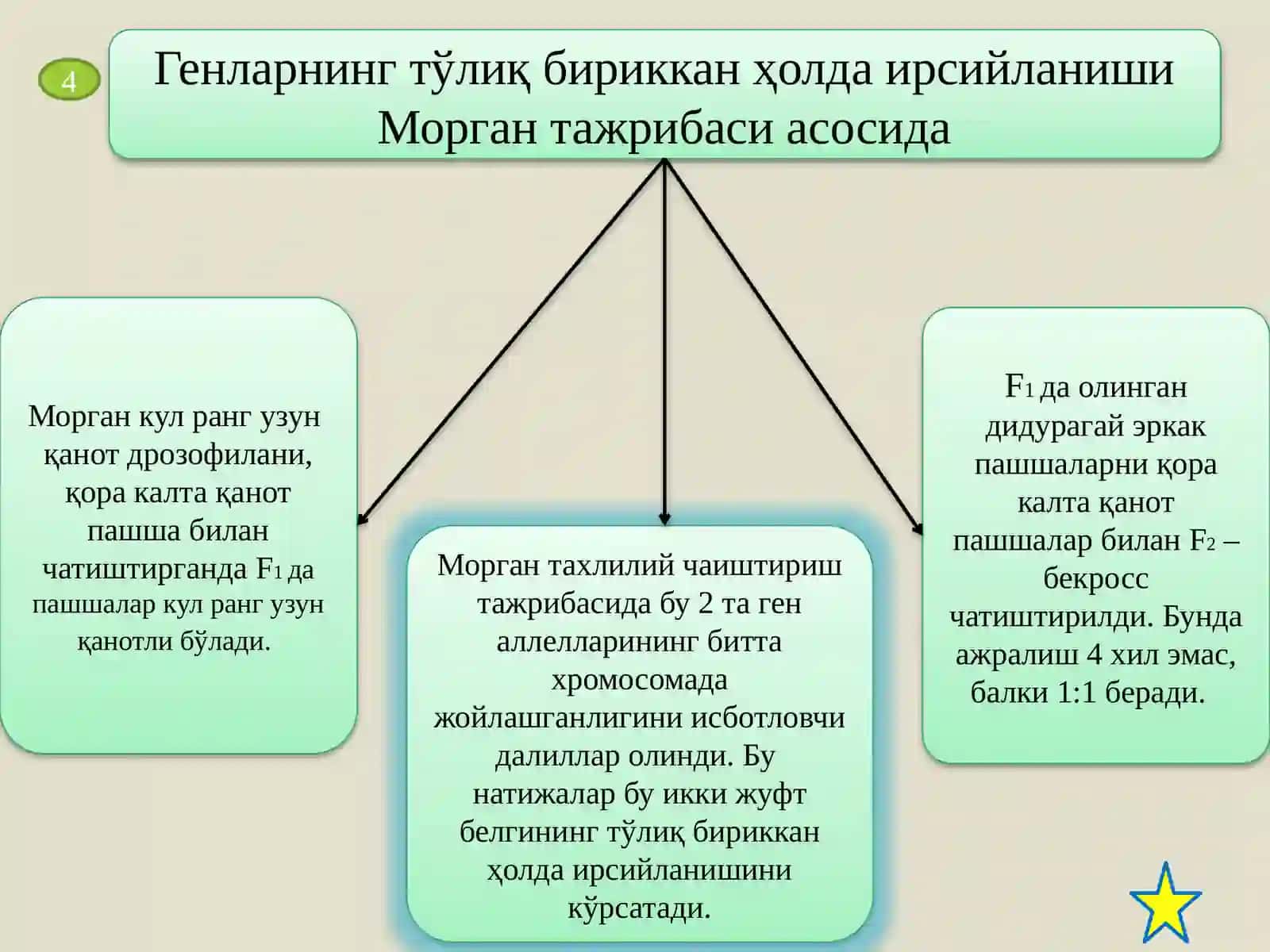 Ирсиятнинг хромосома назарияси. Жинс генетикаси 4