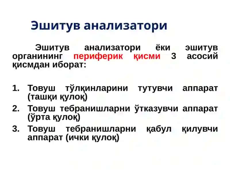 Эшитув анализатори 4
