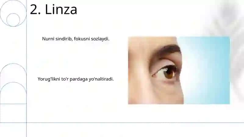 Koʻzning optik xususiyatlari 4