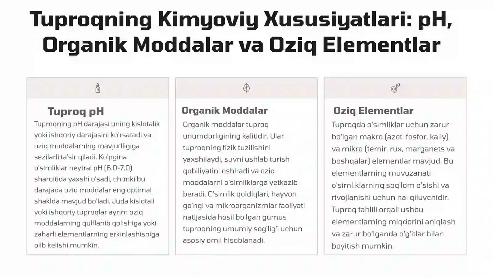 Tuproq Qoplamining Tuzilishi: Boshlang'ich Ma'lumotlar 4