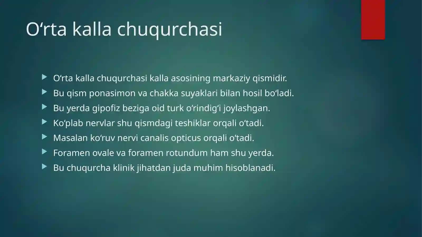Kalla suyagi asoslari klinik anatomiyasi 4