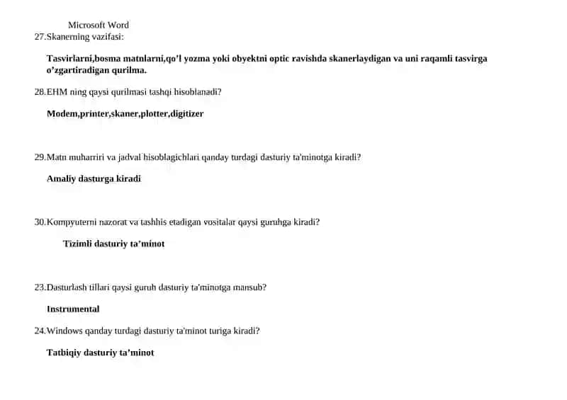 Microsoft Word 4