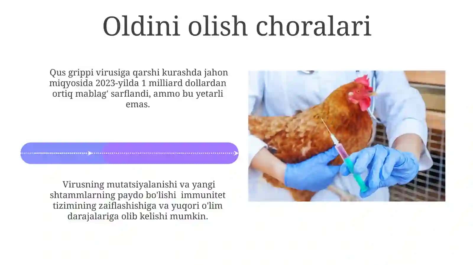 Parranda va cho‘chqa grippi va uning hozirgi kundagi muammolari 4