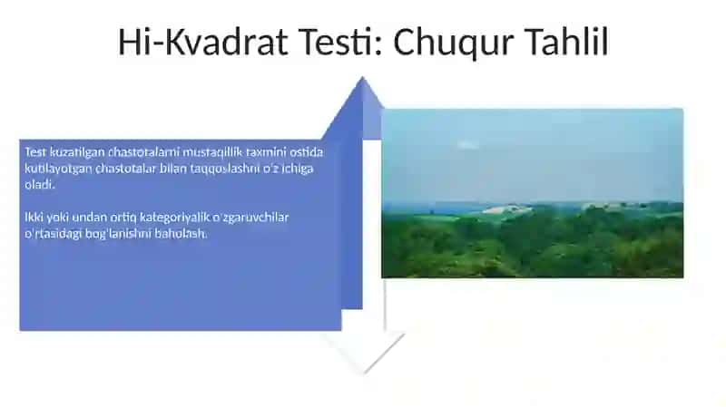 Chi-kvadrat Korrelyatsiya-Regressiya Tahlili Bo'yicha Qadam-ba-Qadam Qo'llanma 4