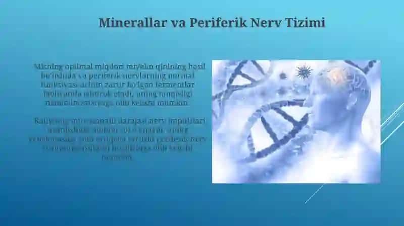 Periferik nerv tizimiga tasir etuvchi biologik faol qòshimchalar 4
