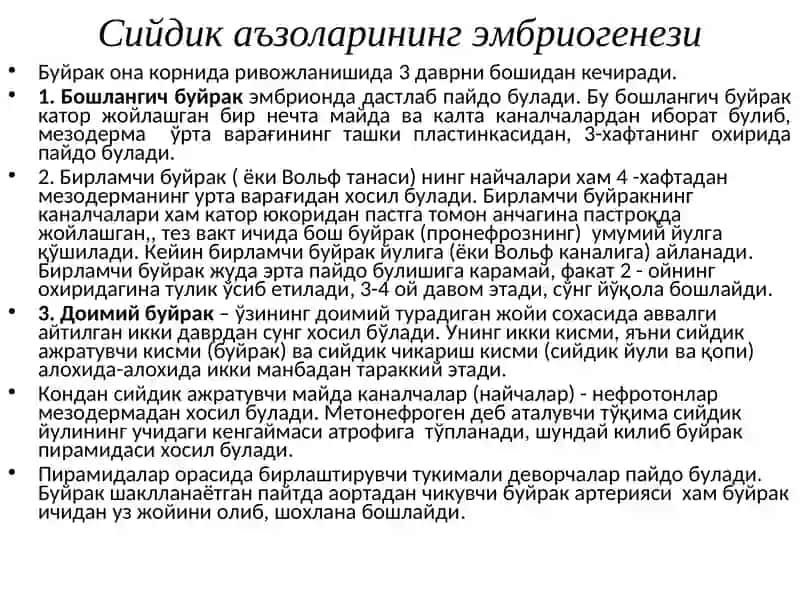 Болаларда сийдик аъзоларининг анатомо-физиологик хусусиятлари ва жарохатланиш синдромлари 4