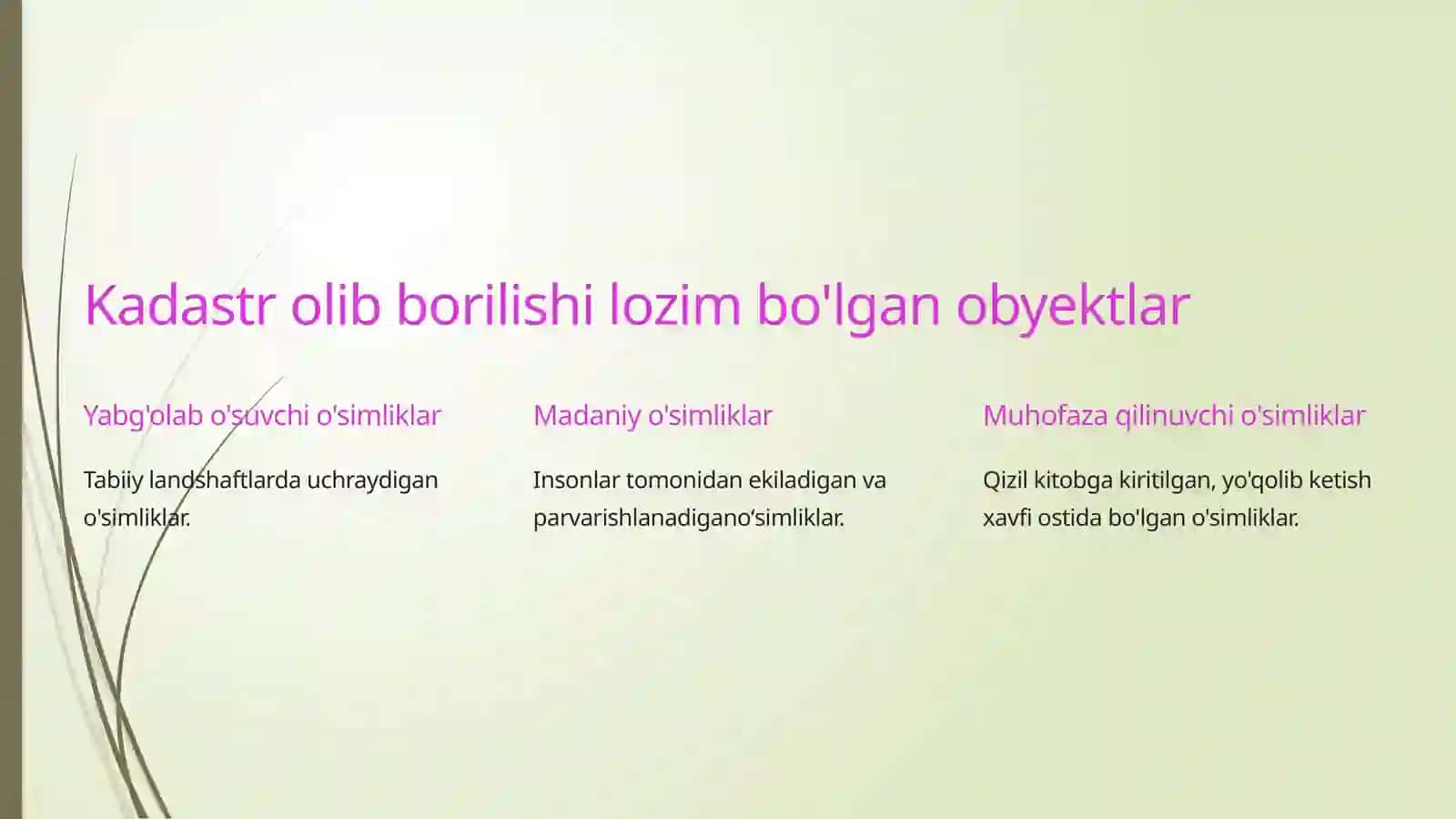 O'simliklar dunyosi obyektlari davlat kadastrini yuritish tartibi 4