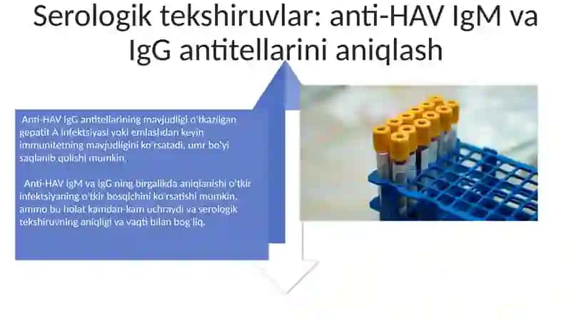 Gepatit A va Gepatit B qozgatuvchi viruslar kasaliklari labarator diagnostikasi 4
