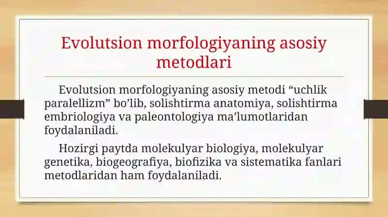 Evolutsion morfologiya 4