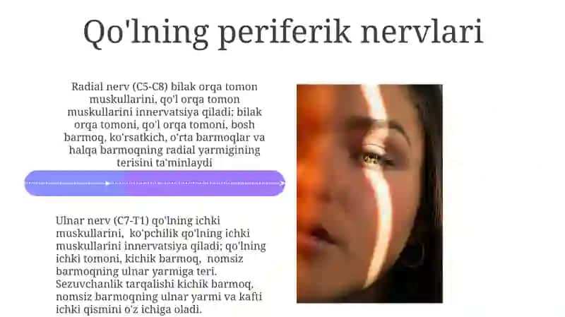 Qo‘l va oyoq terisini innervatsiyasi 4