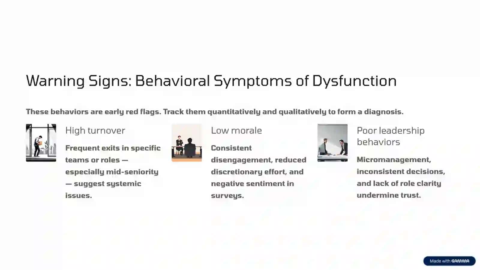 The Culture Project: Recognizing Symptoms and Signs of Organizational Health 4