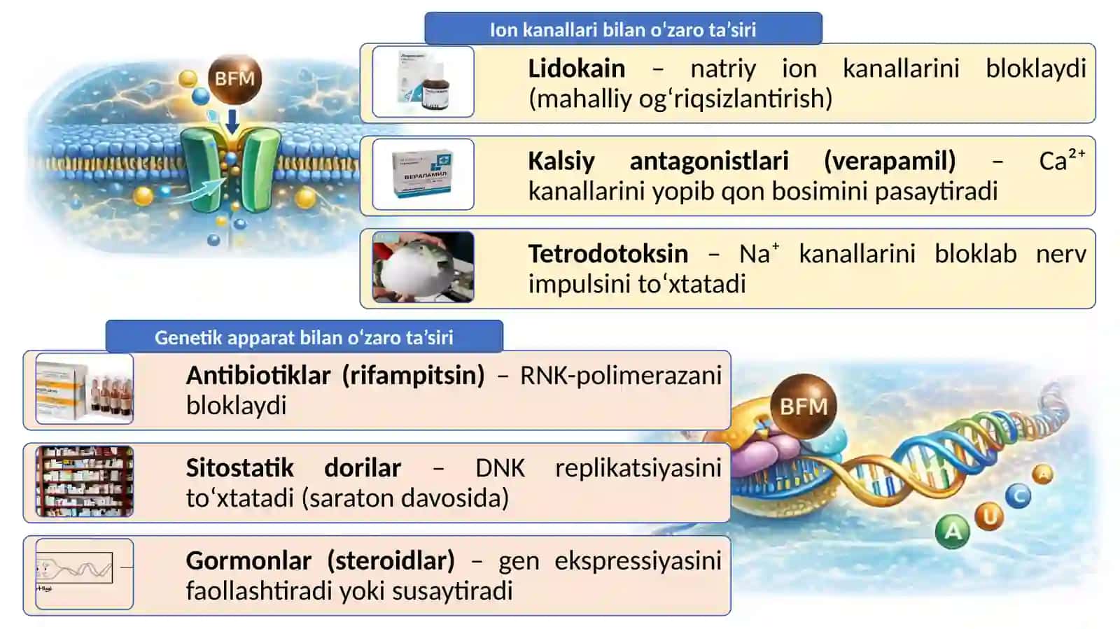 BIOLOGIK FAOL BIRIKMALAR TUSHUNCHASI, TURLARI VA AHAMIYATI 4
