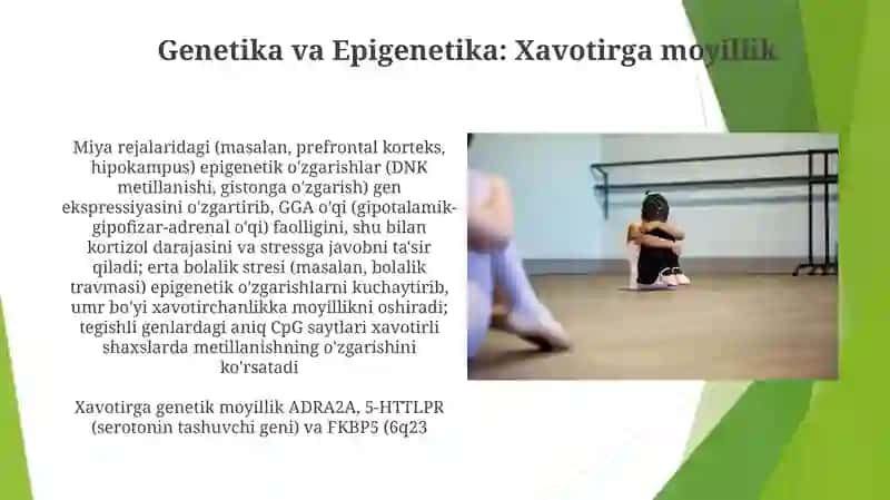 Xotiraning neyrofiziologik asoslari 4