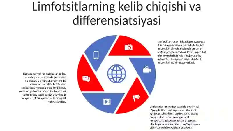 Limfotsitopoezning Xususiyatlari 4