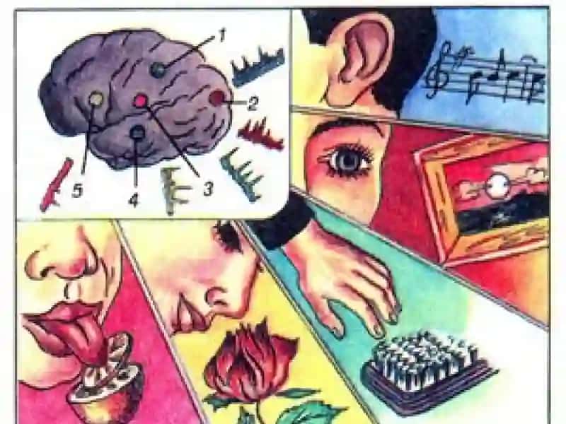 PSIXIK – BILISH JARAYONLARI 4