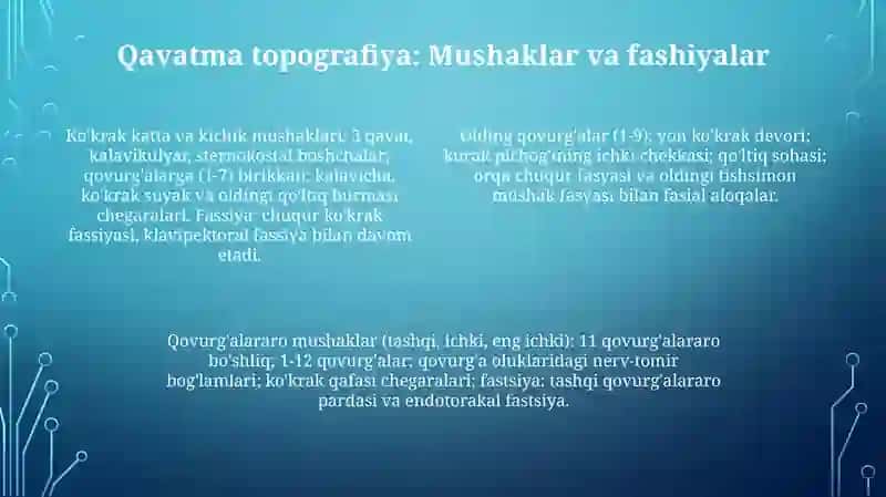 Ko'krakning yuza sohalari, chegaralari qavatlar topografiyasi 4