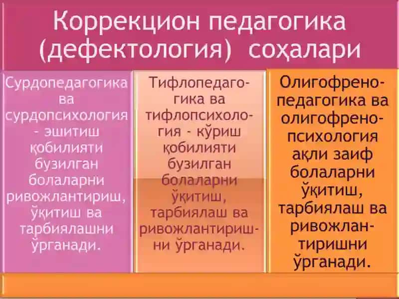 Руҳий ривожланишида, эшитишда, кўришда, нутқида нуқсони бўлган болаларни ўқитиш ва тарбиялаш 4