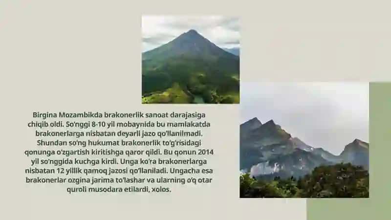 Egologik muammolar,O'simlik va hayvon turlarining yo'qolishi 4