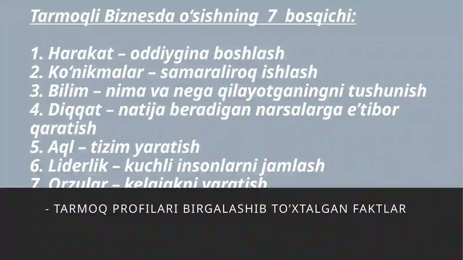 Tarmoqli Biznesda daromadning yangi bosqichiga chiqish strategiyasi 4