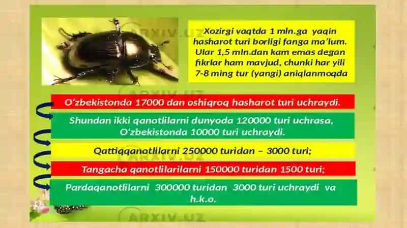Hashoratlarning rivojlanishi 4