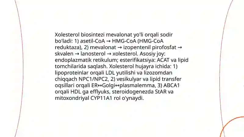 Lipid sintezi va transporti 4
