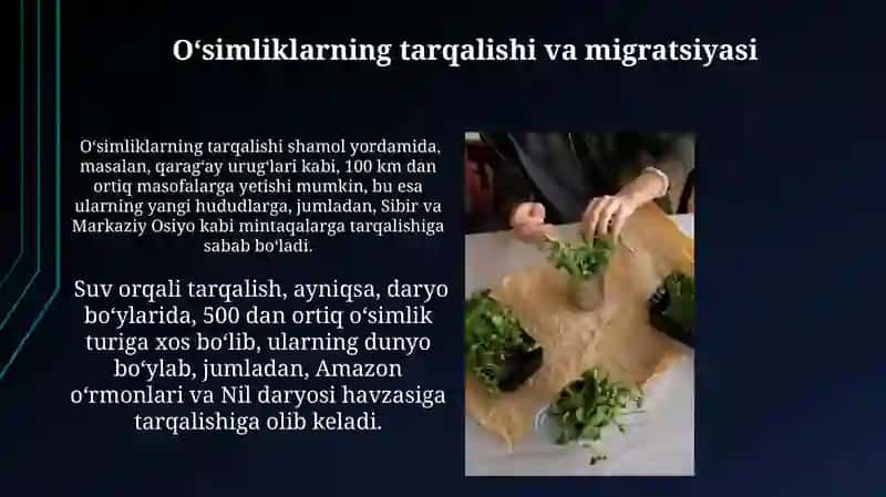 Oʻsimliklarni ekologiyasi asoslari 4