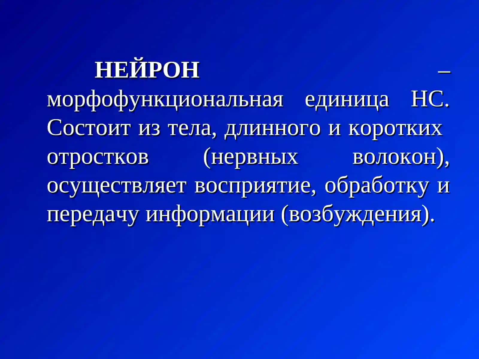 Лекция №4ТЕМА:Нервные волокна и синапсы 4