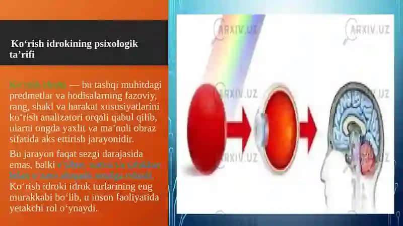 Ko'rish idroki asimmetriyasi 4