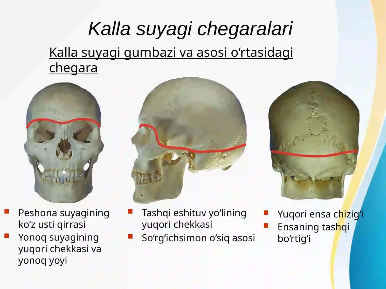 Boshning miya qismi topografik anatomiyasi va operativ xirurgiyasi 4