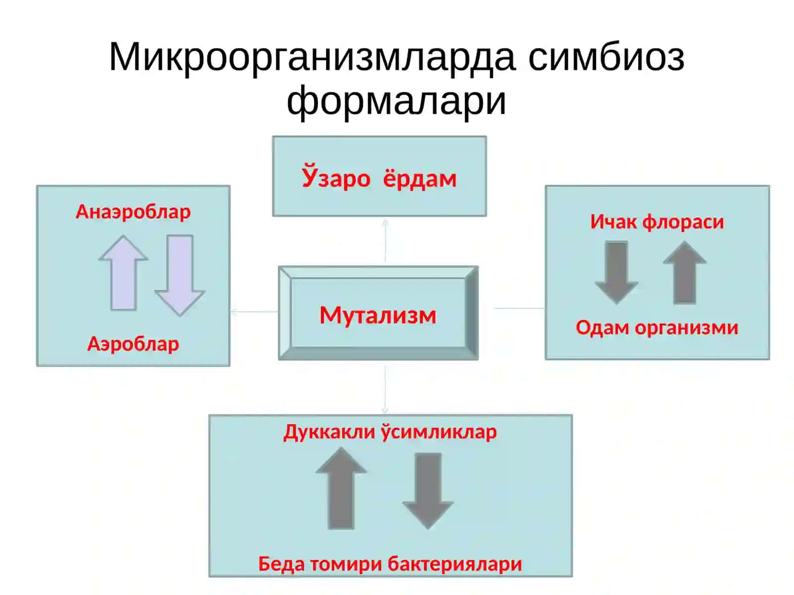 Микроорганизмлар экологияси 4