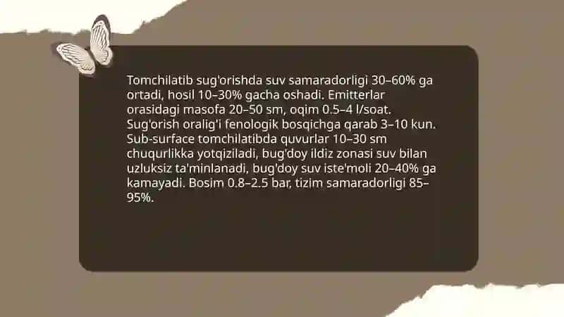 Buğdoy yetishtirishda resurs tejamkorlik texnologiyalari 4