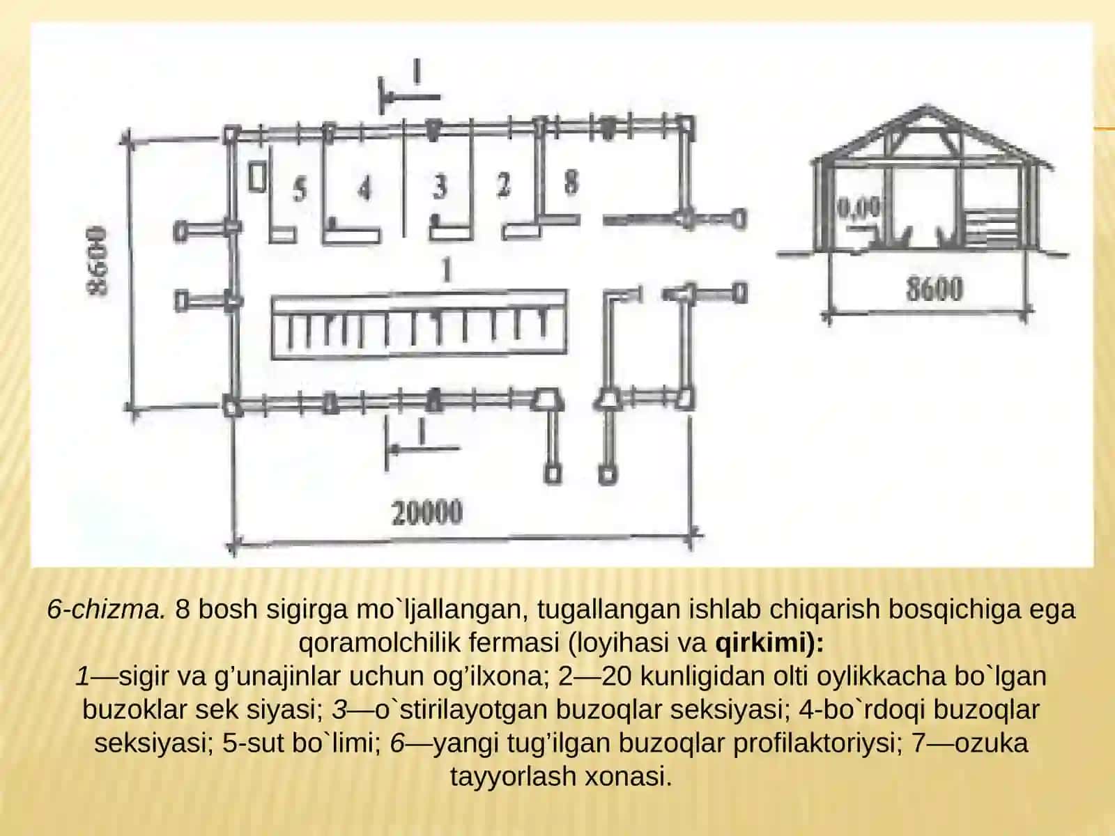 Qoramolchilik fermasi (loyiha va qirqimi) 4