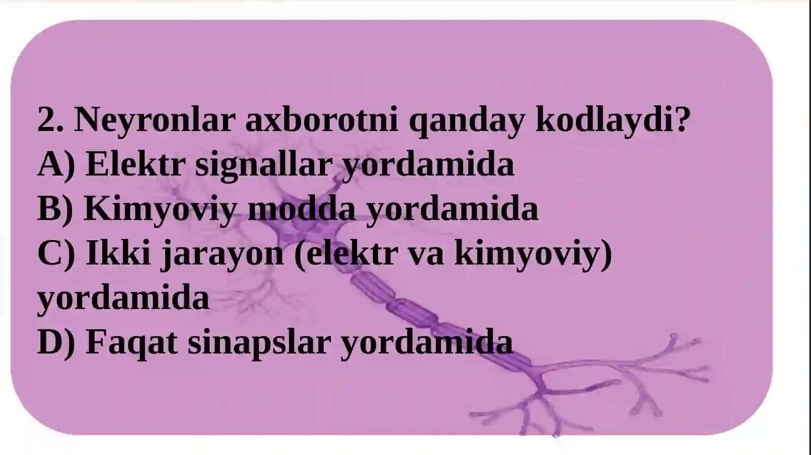 Informatsiyani kodlash mexanizmlari 4