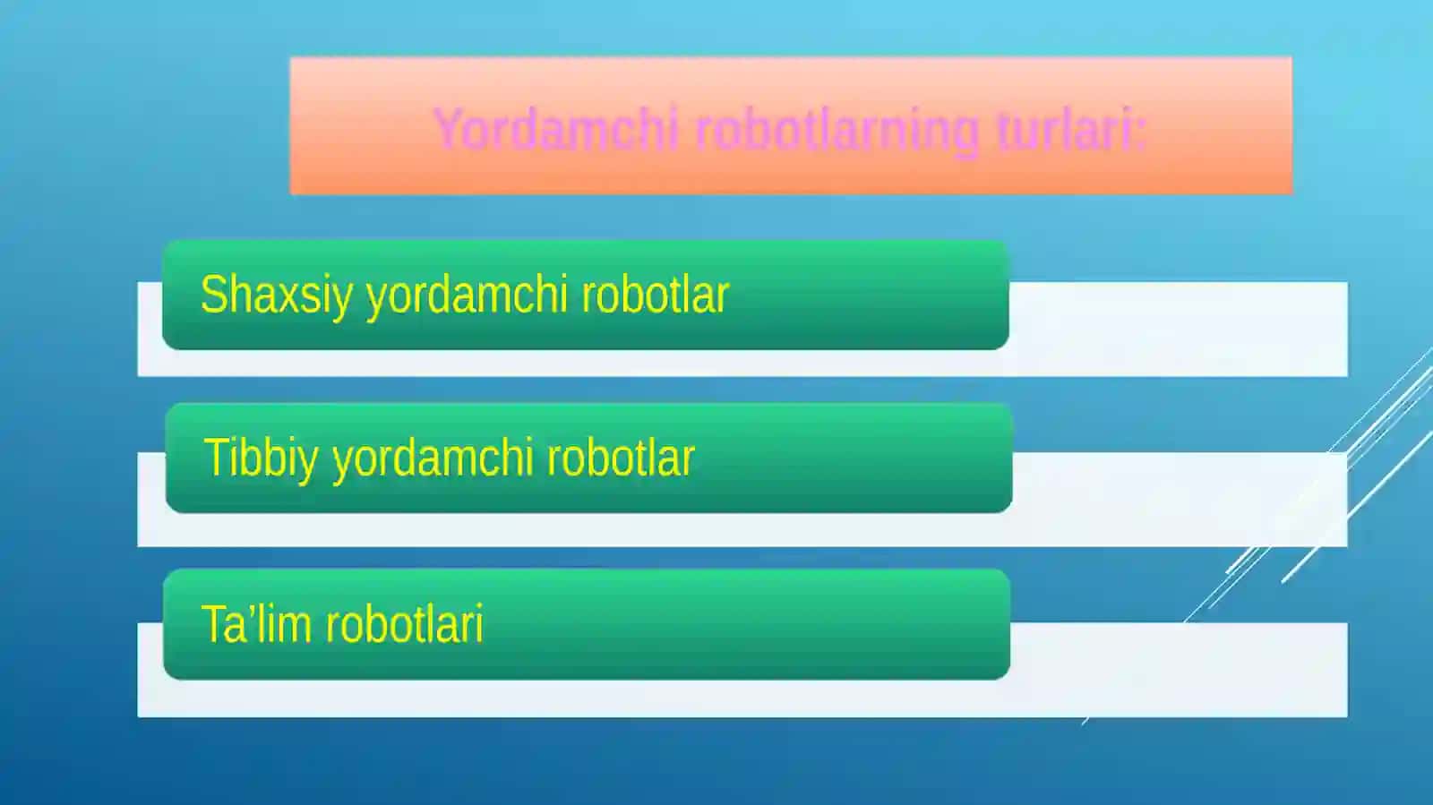 YORDAMCHI ROBOTLAR. SUN’IY INTELLEKT ODAMLARGA QANDAY YORDAM BERADI? 4