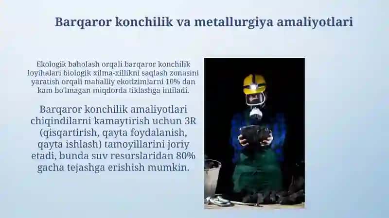 Konchilik, kimyo va metallurgiya sanoatining atrof-muhitga ta'siri 4