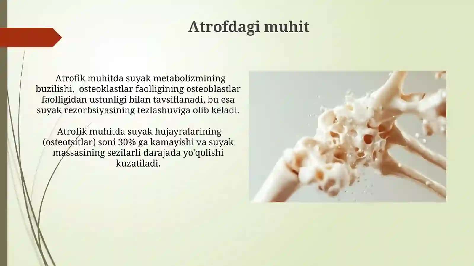 Suyaklarning o'sishi rivojlanishiga ta'sir etuvchi omillar 4