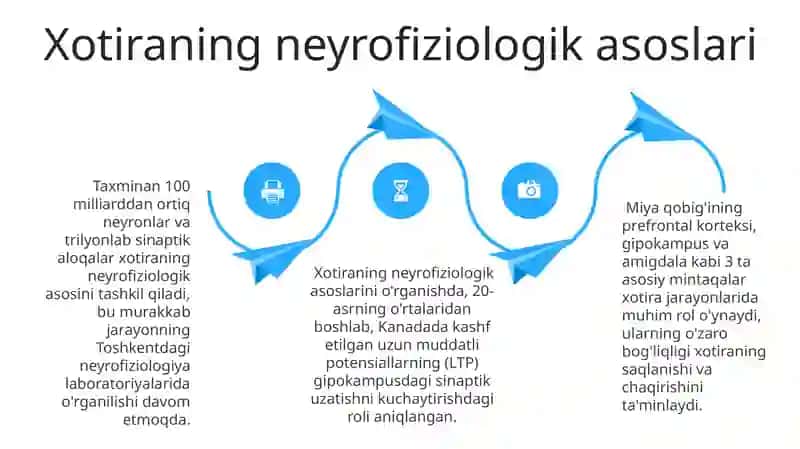 Xotira, xotiraning nerv fiziologik asoslari 4