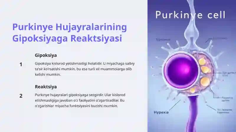 Miyacha: Neyronlararo Aloqalar va Tashqi Ta'sirlarga Reaktsiyalar 4
