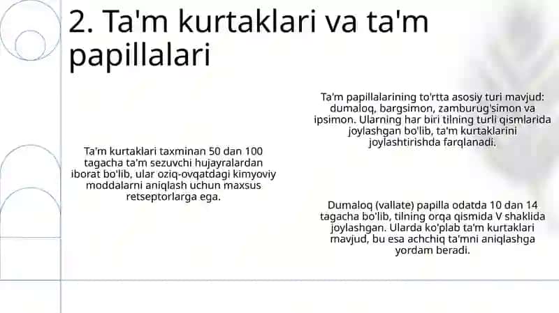 Ta'm bilish a'zosining morfo-funksional tavsifi 4