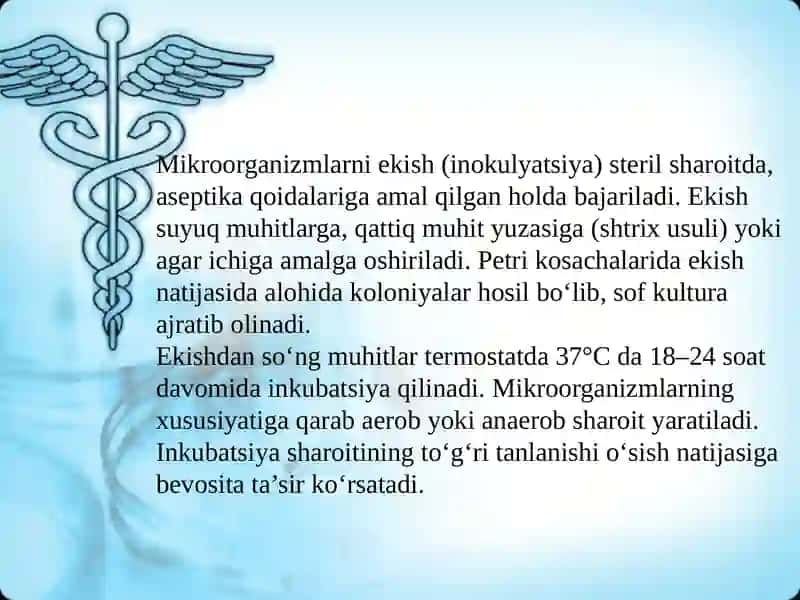 Mikroflora oʻsishini aniqlash uchun biologik muhitlar tayorlash va ekish 4