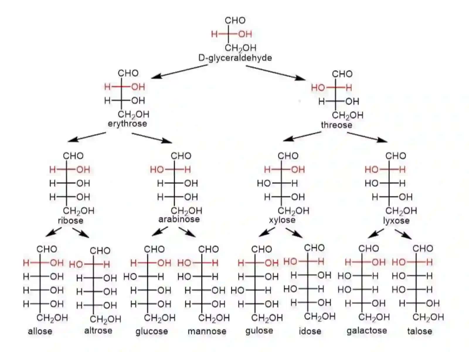 Karbonsuvlar.Monosaxaridlar 4