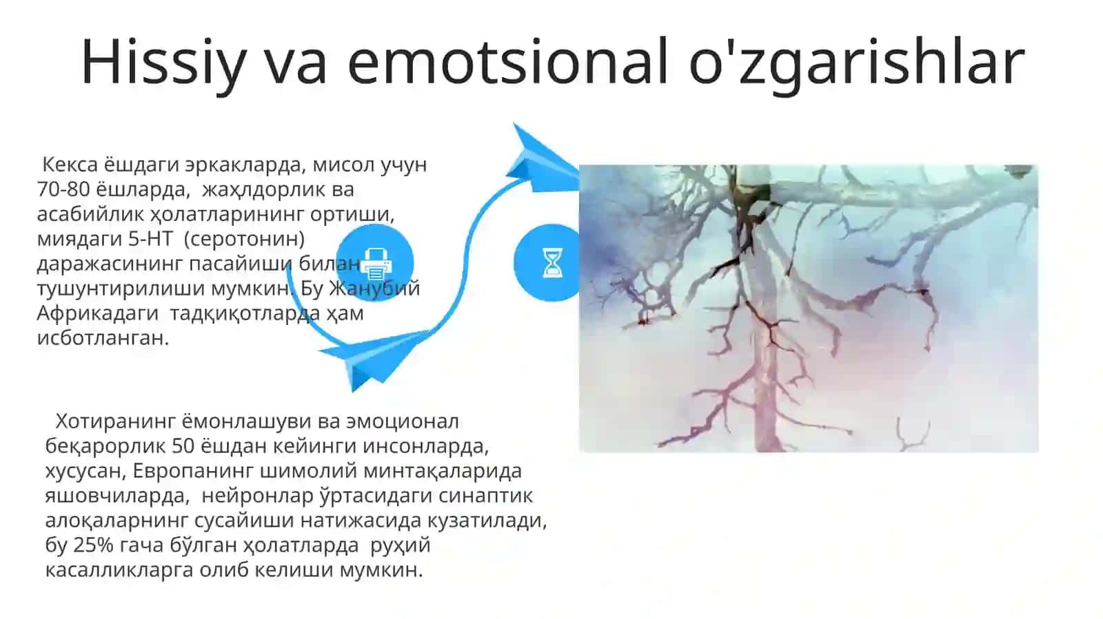 Nerv tzmning yoshga oid umumiy fiziologyasi va gigeniyasi 4