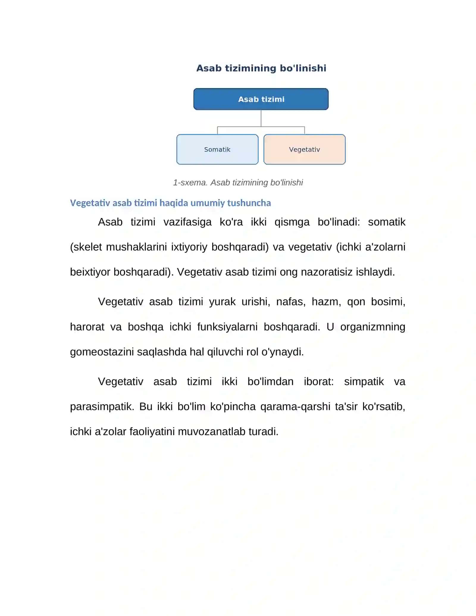 Vegetativ asab tizimining fiziologiyasi 4
