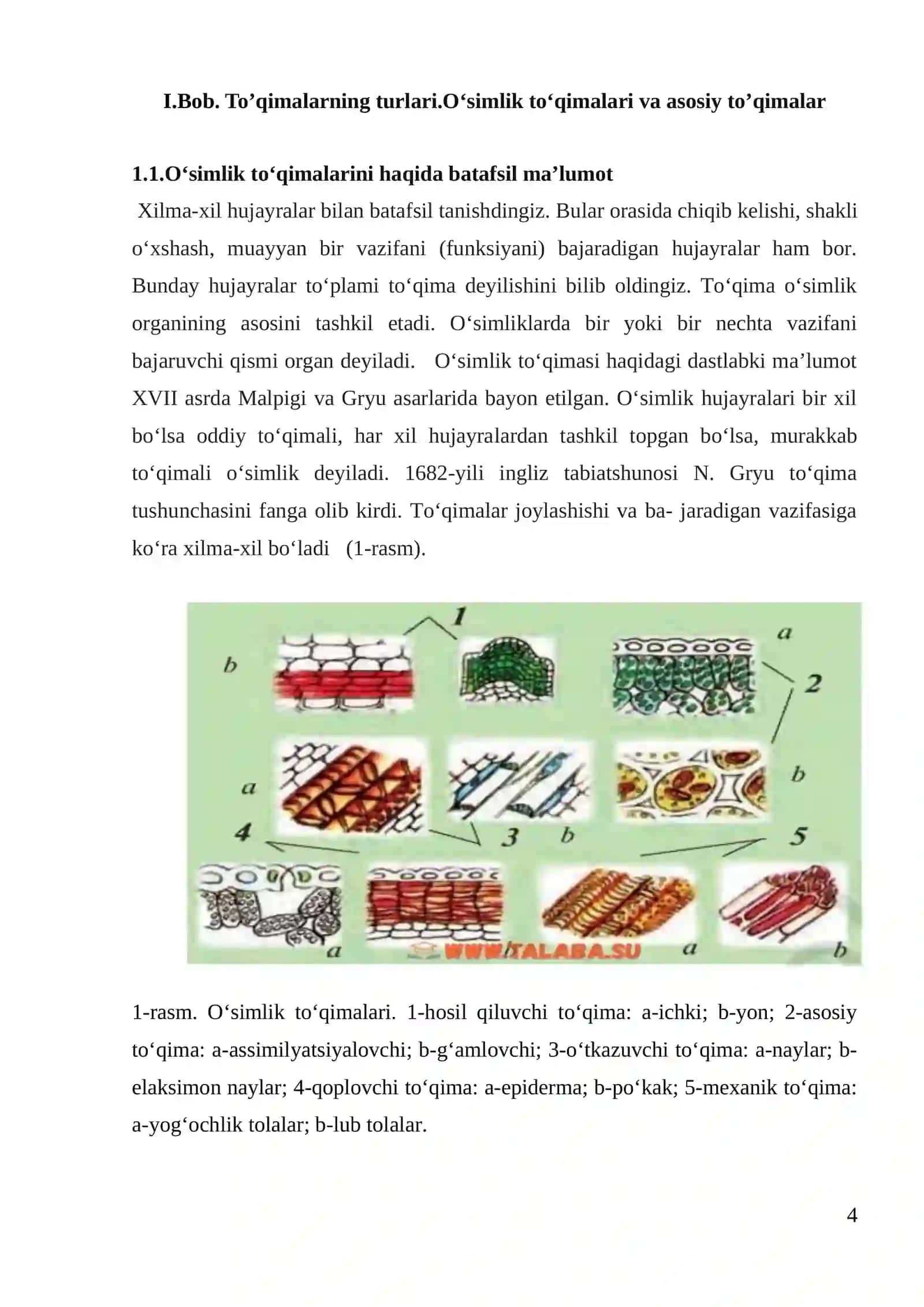 БИОЛОГИЯ ФАКУЛЬТЕТИ К У Р С И  Ш И 4