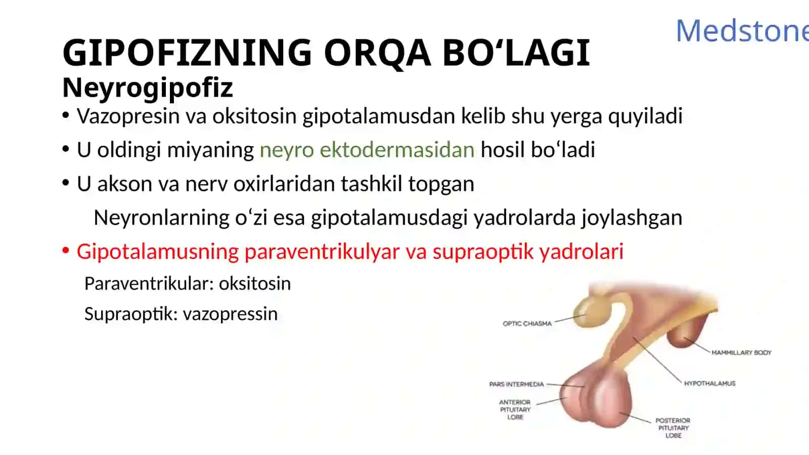Gipofizbezi, Medstone, GIPOFIZ BEZI 4