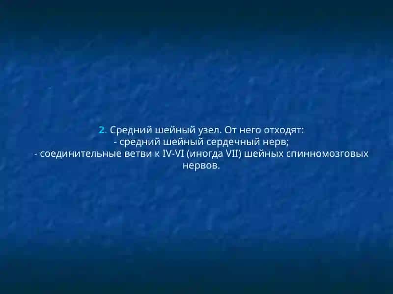 Верхний шейный узел 4