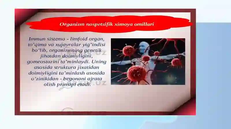 IMMUNITET HAQIDA TUSHUNCHA 4