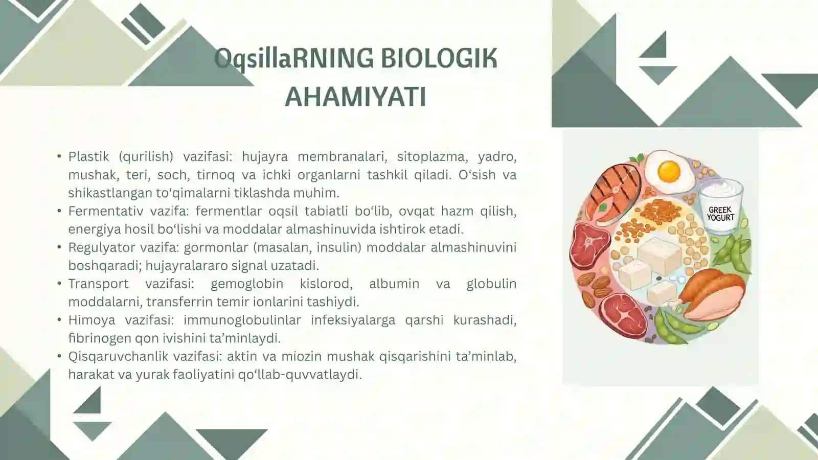 Oqsillarning biologik va oziqaviy ahamiyati 4