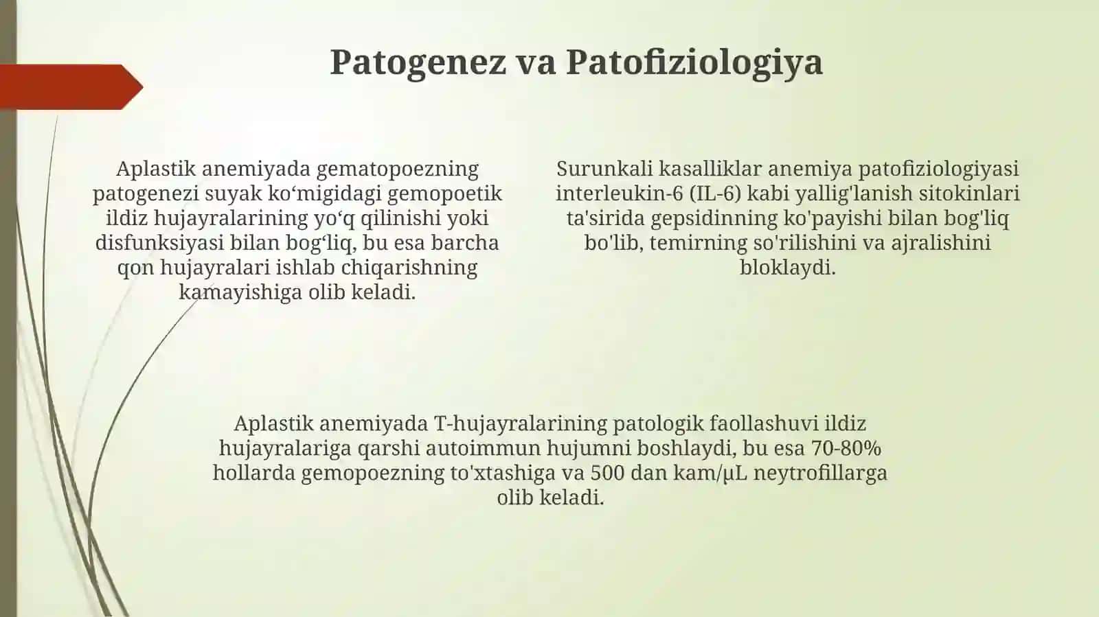 Aplastikanemiya.Surunkalikasalliklardankeyingianemiyalar 4